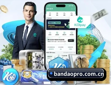 半岛综合 APP 深度功能